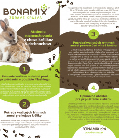 Riadenie rozmnožovania v chove králikov