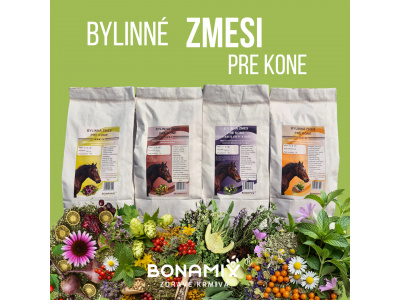 Bylinné zmesi pre kone