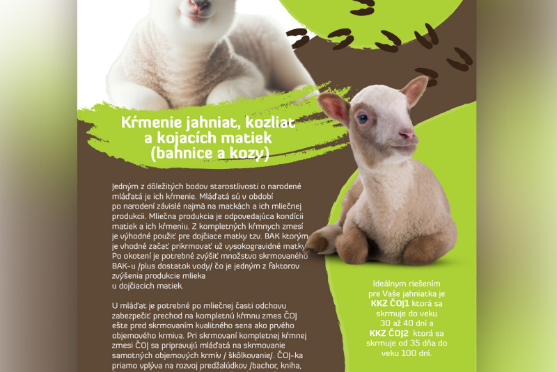 Ovce, kozy